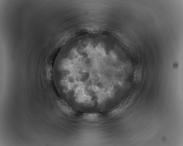 X0000097890671200804041311