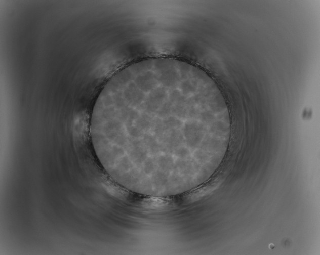 X0000097890672200804041311