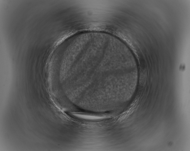 X0000097890673200804041311