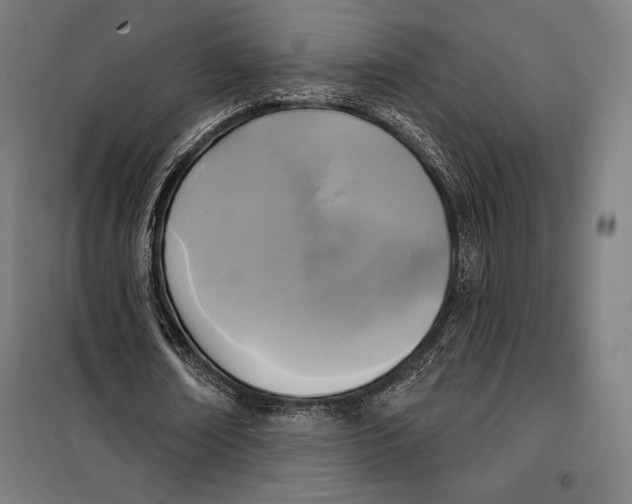 X0000097890674200804041311