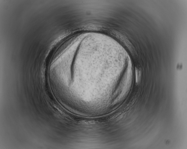 X0000097890675200804041311