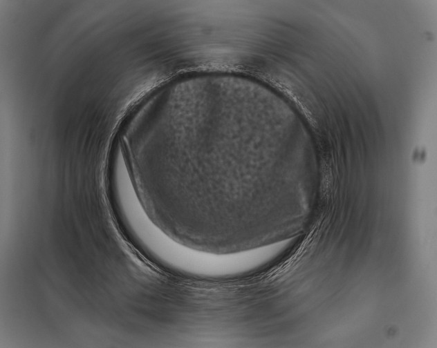 X0000097890677200804041311