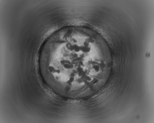 X0000097890679200804041311