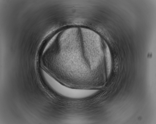 X0000097890680200804041311