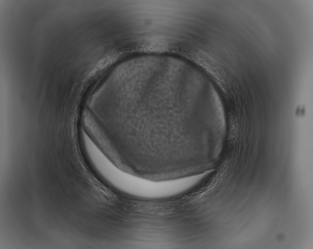 X0000097890681200804041311