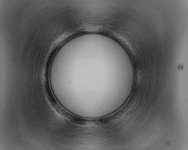 X0000097890682200804041311