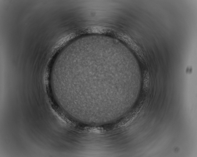 X0000097890683200804041311