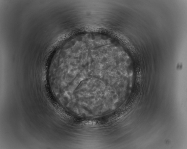 X0000097890687200804041311