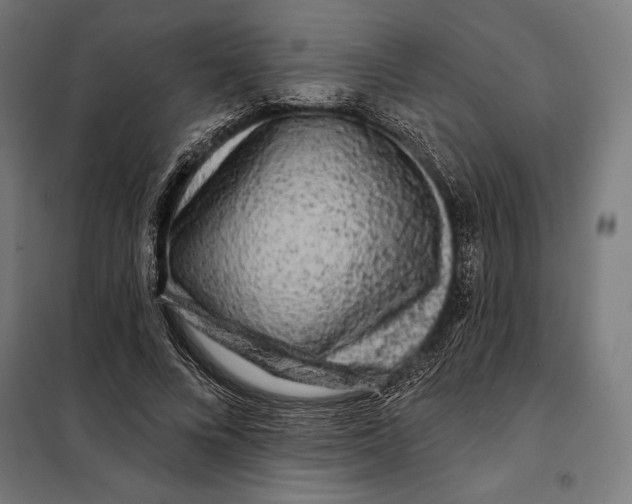 X0000097890688200804041311