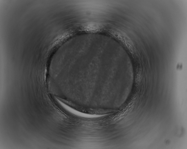 X0000097890689200804041311