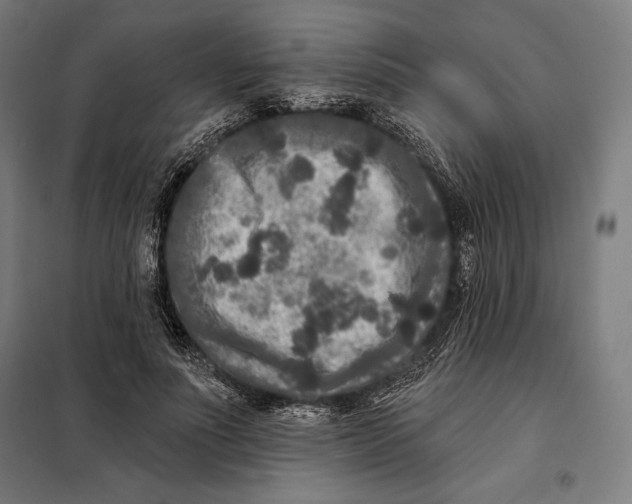 X0000097890691200804041310