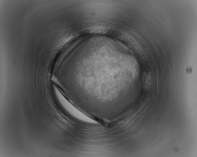 X0000097890692200804041310