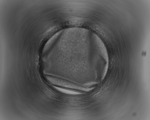 X0000097890693200804041310