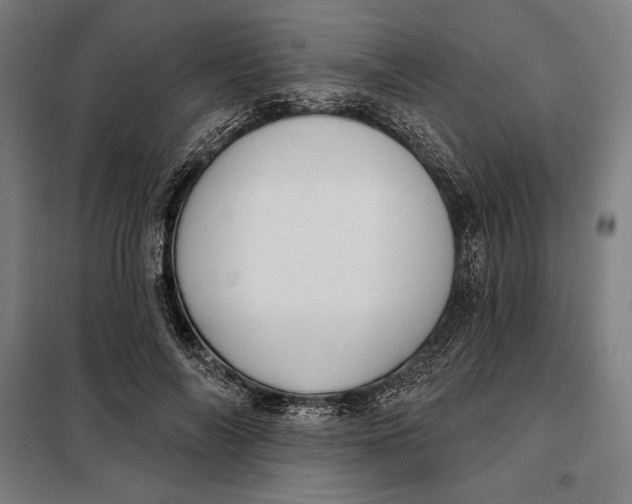 X0000097890694200804041310