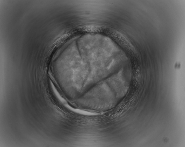 X0000097890696200804041310