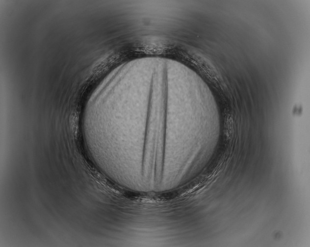 X0000097890697200804041310