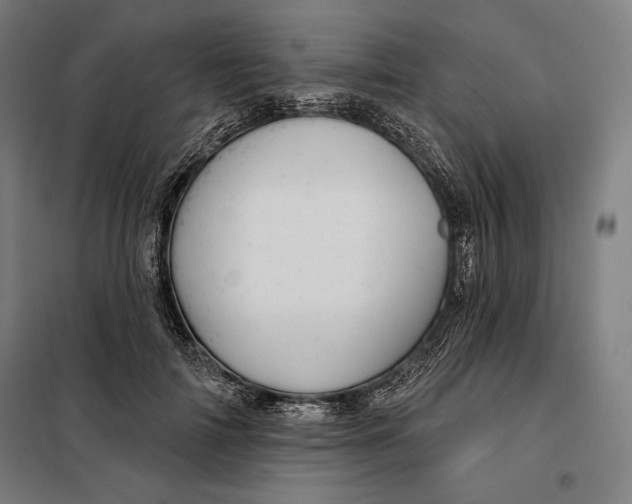 X0000097890698200804041310