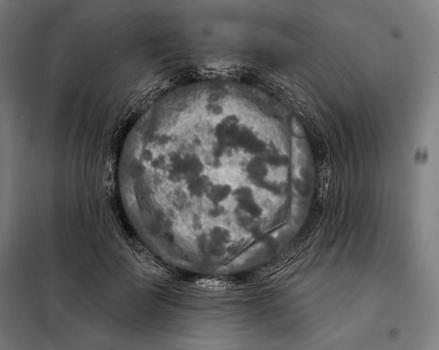 X0000097890699200804041310