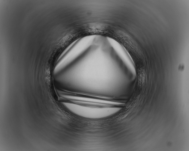 X0000097890700200804041310