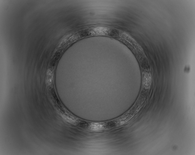 X0000097890701200804041310