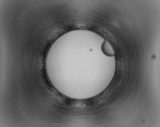 X0000097890702200804041310