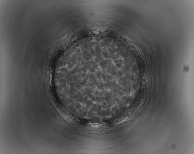 X0000097890703200804041310