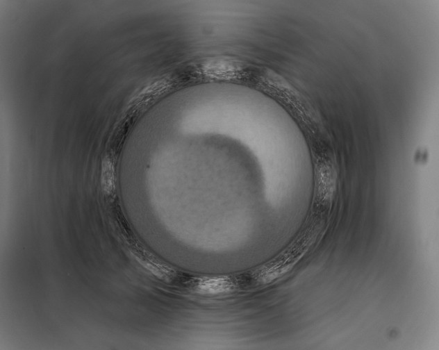 X0000097890705200804041310