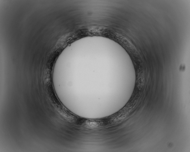 X0000097890706200804041310