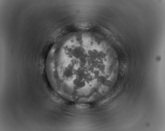 X0000097890707200804041310