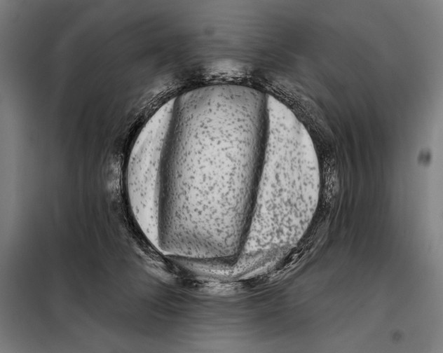 X0000097890708200804041310