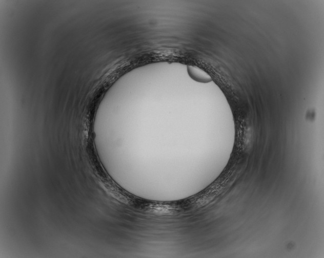 X0000097890710200804041310