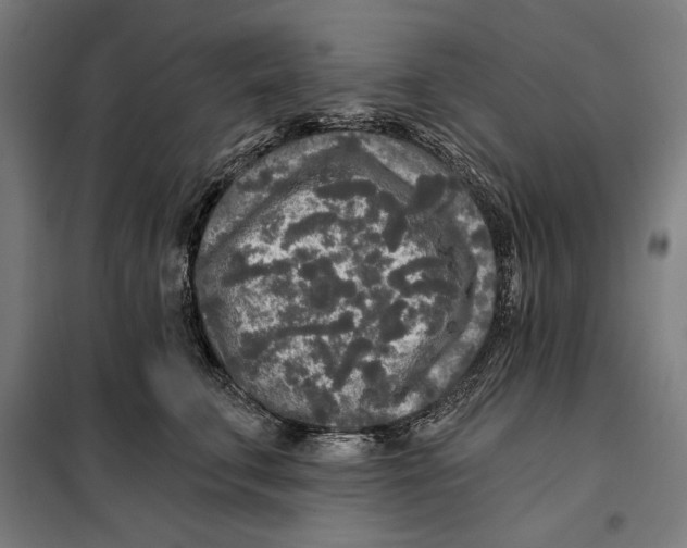 X0000097890711200804041310