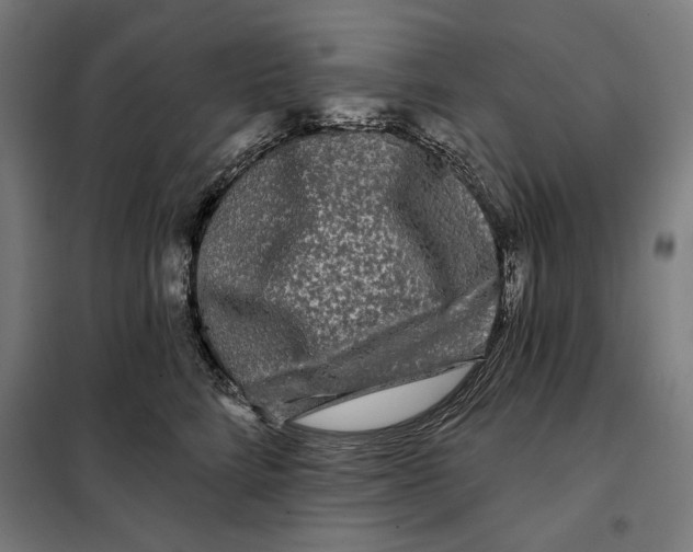 X0000097890712200804041310