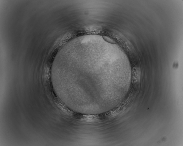 X0000097890713200804041310