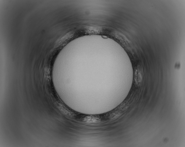 X0000097890714200804041310