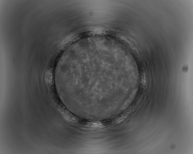 X0000097890715200804041310