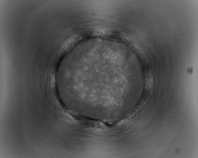 X0000097890716200804041310