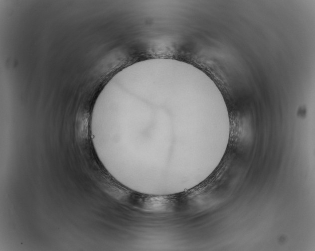 X0000097890717200804041310