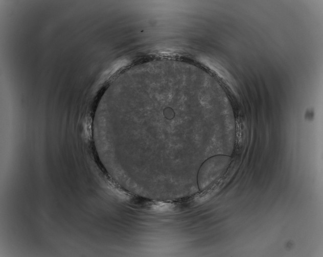 X0000097890718200804041310