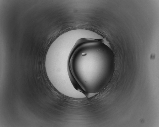 X0000097890720200804041310