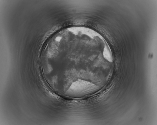 X0000097890721200804041309