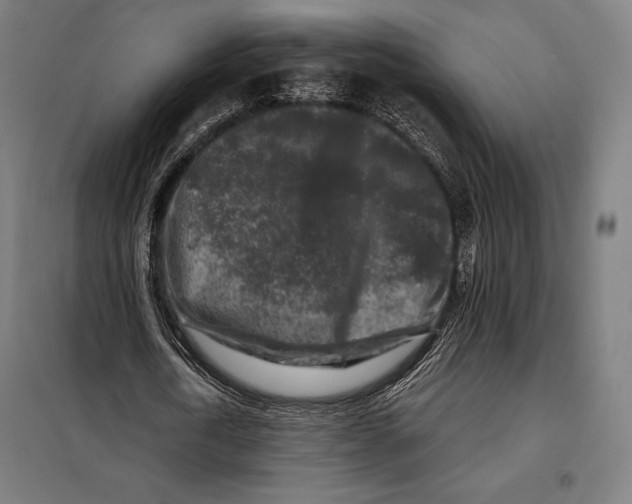 X0000097890722200804041309