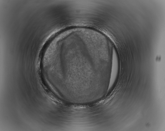 X0000097890723200804041309