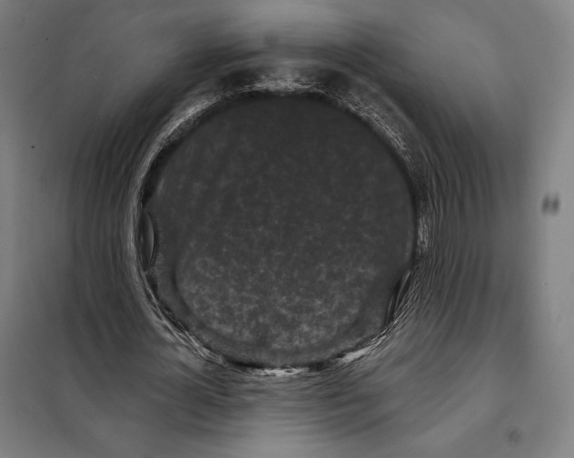 X0000097890724200804041309