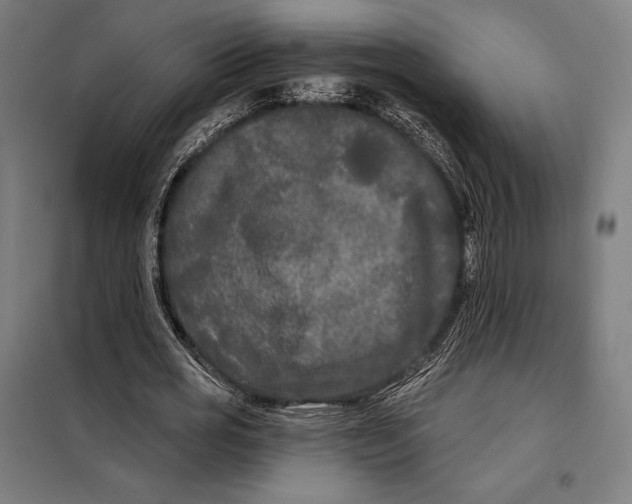 X0000097890725200804041309