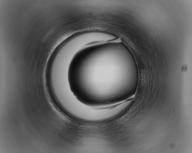 X0000097890726200804041309