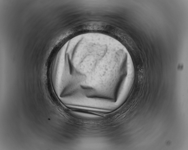 X0000097890727200804041309