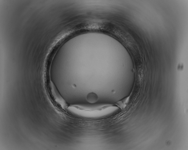 X0000097890728200804041309