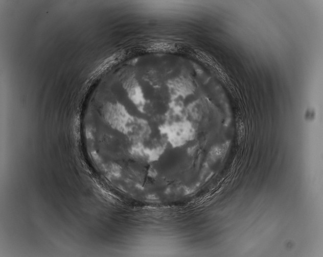 X0000097890729200804041309