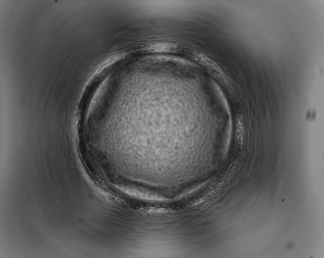 X0000097890730200804041309